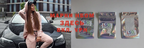 молекула духа Алексин