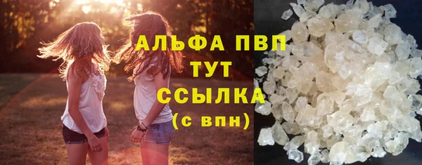 прущие грибы Кострома